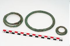 Foto von Bronzering (NHMW-PRAE-035787)